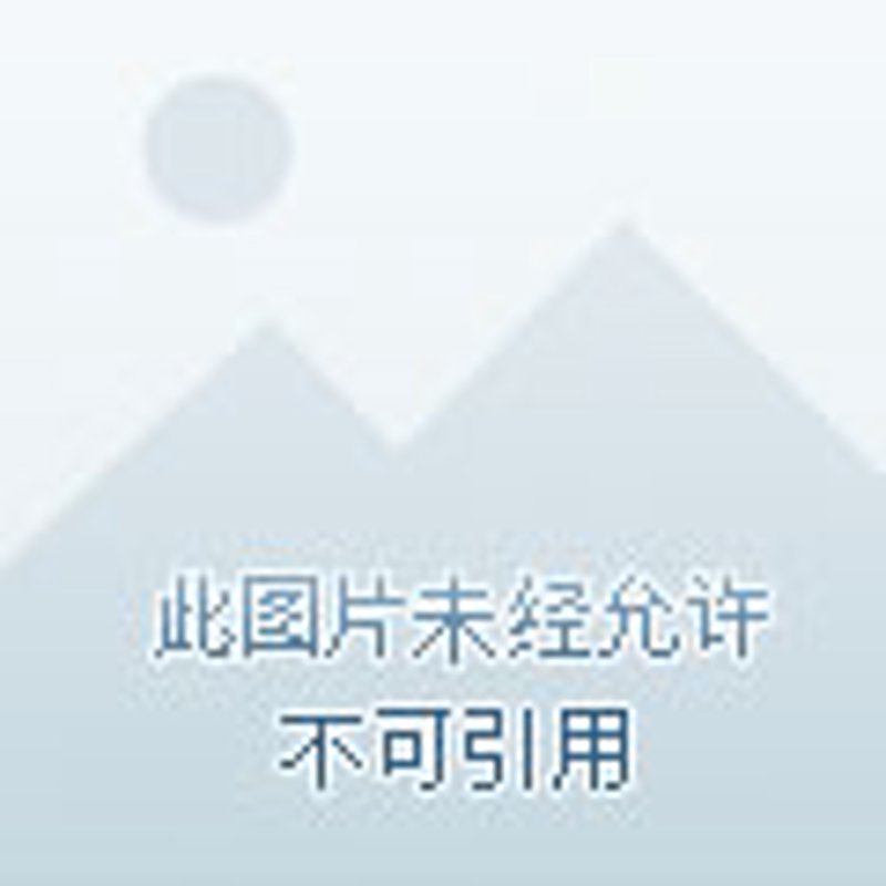商户收款码:现代支付的新篇章